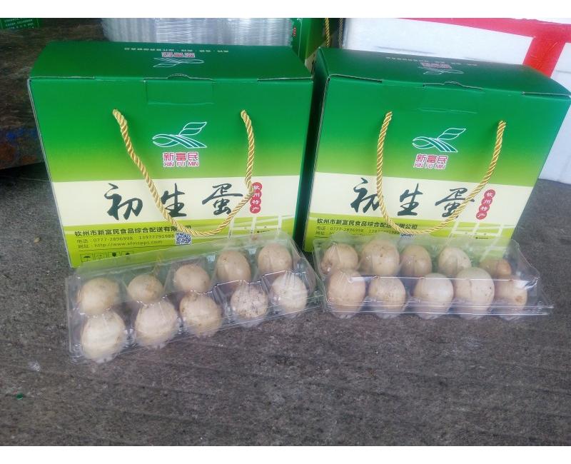 新富民初生蛋-源于天然 滋補(bǔ)有道。